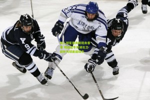 湖人球星里夫斯现身香港 观战金牛对湖北之战并为球迷送球衣