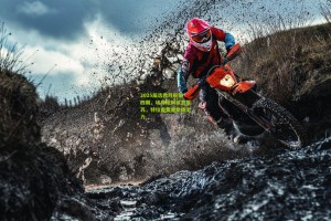 2025届选秀月报第四期，埃奇库姆状态复苏，特拉奥雷重拾统治力