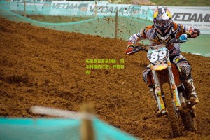 听着桑巴音乐训练,阿尔特塔的灯泡、柠檬和狗 听着桑巴音乐训练,阿尔特塔的灯泡、柠檬和狗