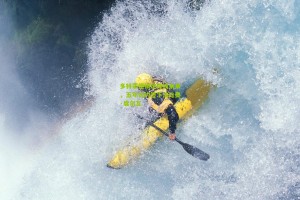 多特蒙德锁定锋线未来，五年长约签下法比奥·席尔瓦