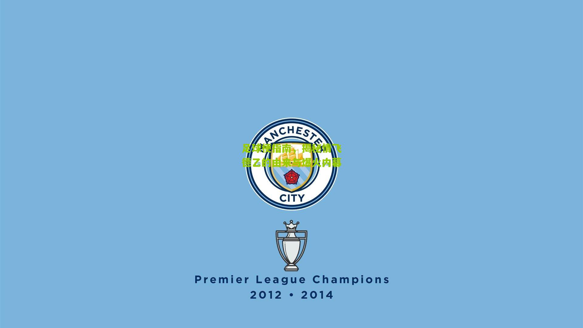 足球梗指南,揭秘情飞德乙的由来与爆火内幕