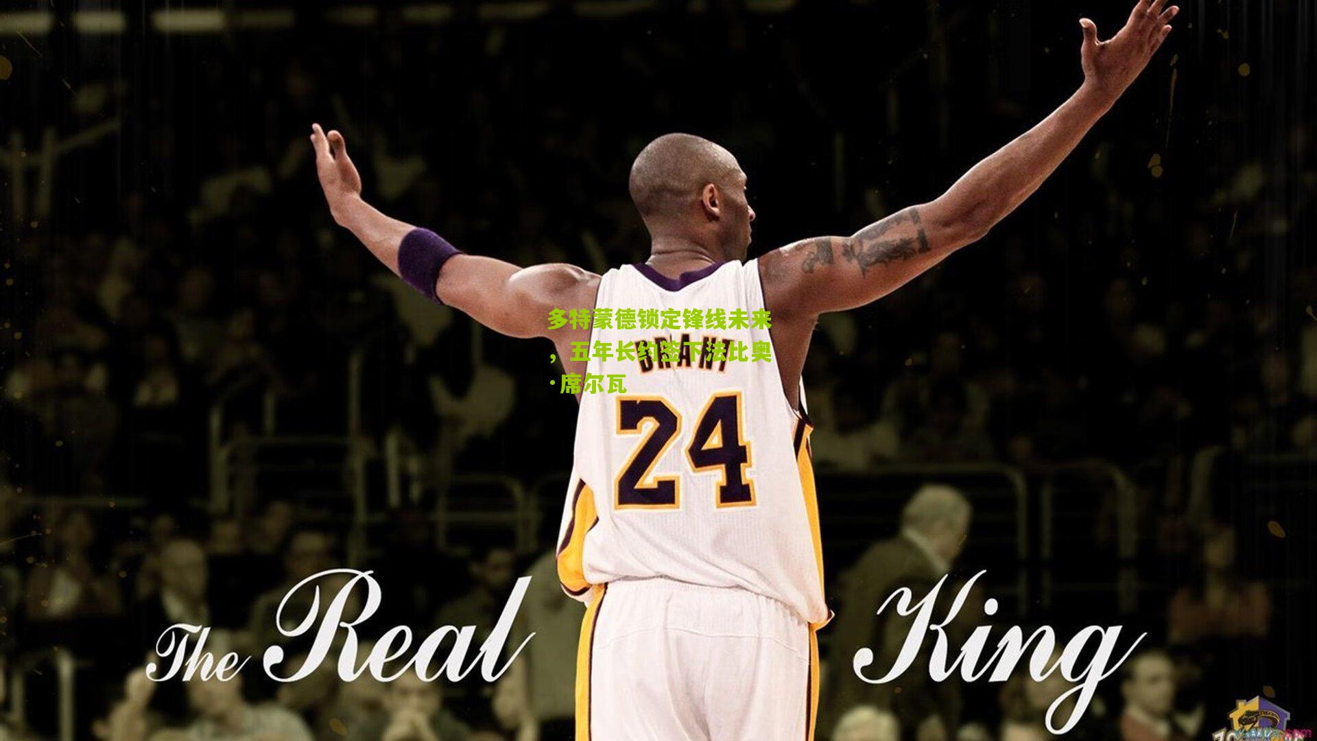 多特蒙德锁定锋线未来，五年长约签下法比奥·席尔瓦