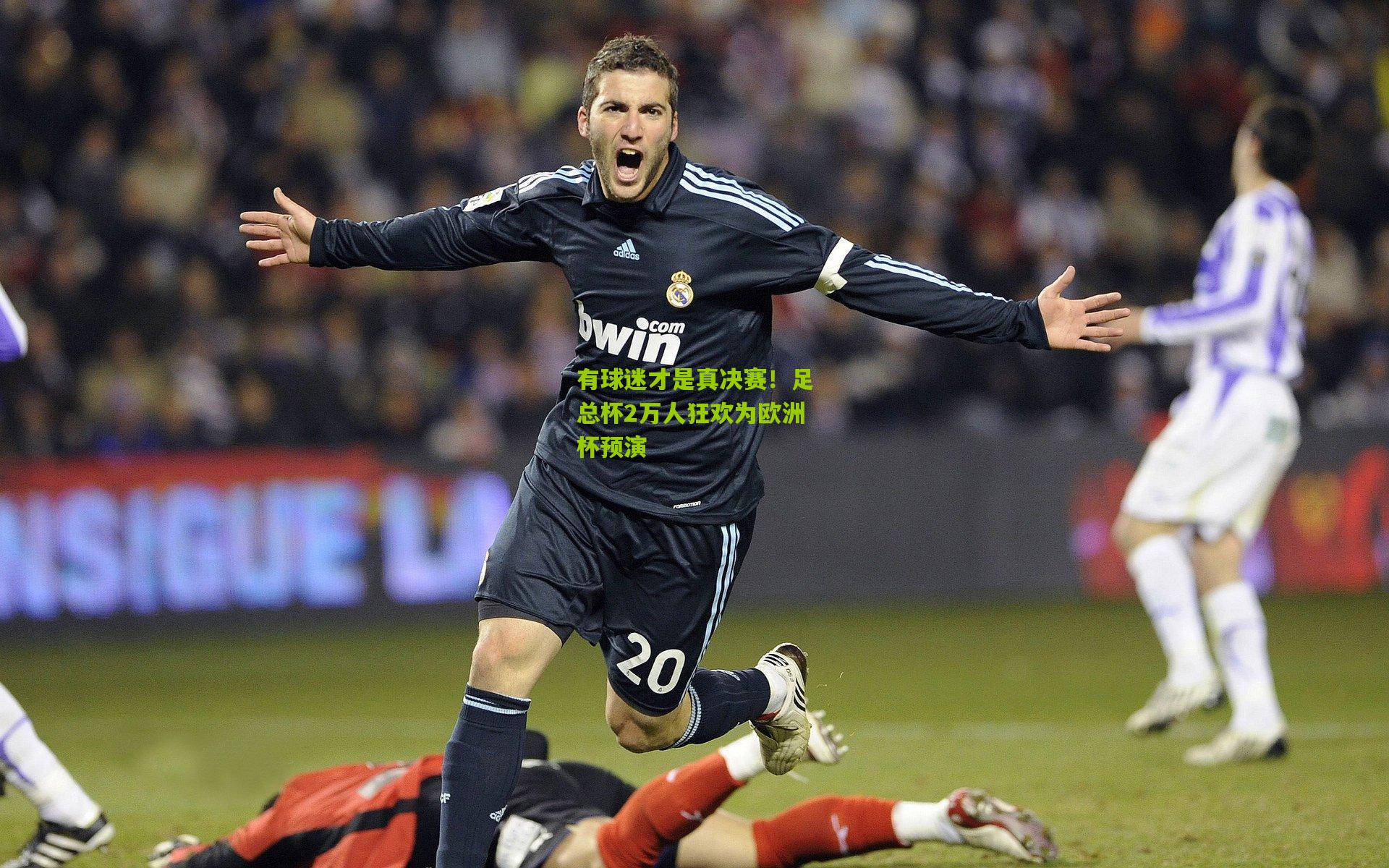 有球迷才是真决赛！足总杯2万人狂欢为欧洲杯预演