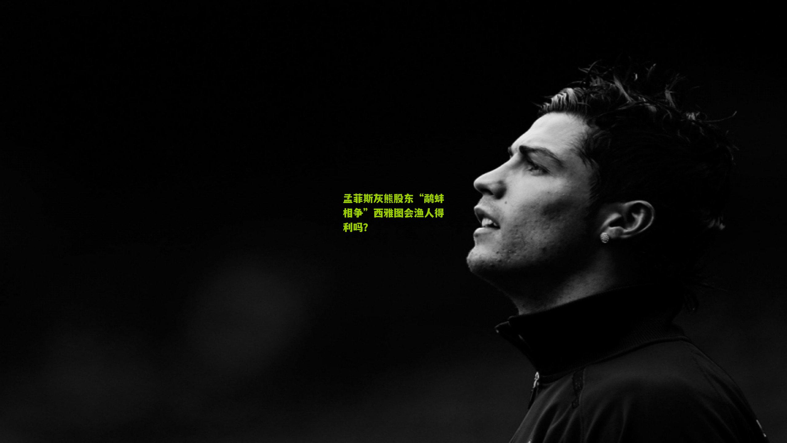 孟菲斯灰熊股东“鹬蚌相争”西雅图会渔人得利吗?