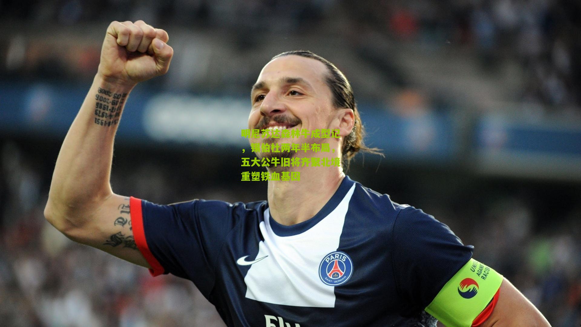 明尼苏达森林牛成型记，锡伯杜两年半布局，五大公牛旧将齐聚北境重塑铁血基因